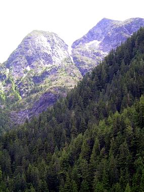 1414133_img.jpg
