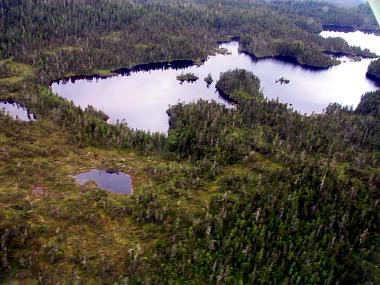 1414195_img.jpg