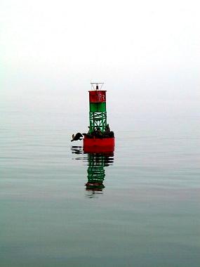 1434370_img.jpg