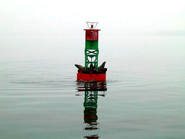 1434372_img.jpg