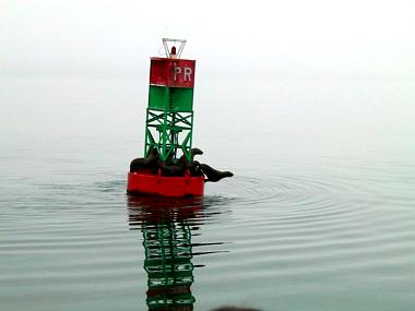 1434373_img.jpg