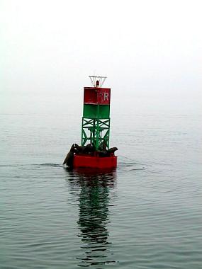 1434374_img.jpg