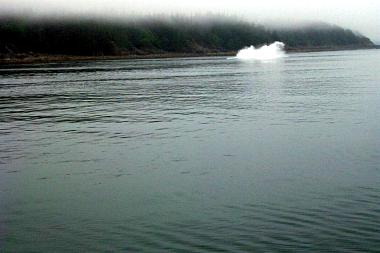 1434398_img_g1.jpg