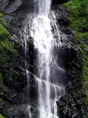 1454510_img.jpg