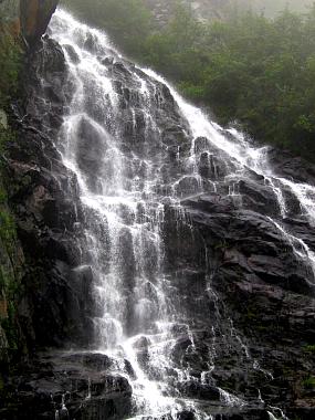 1454522_img.jpg