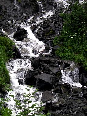 1454523_img.jpg