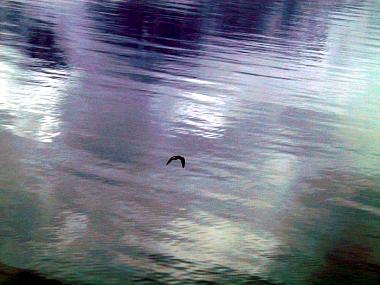 1454530_img.jpg